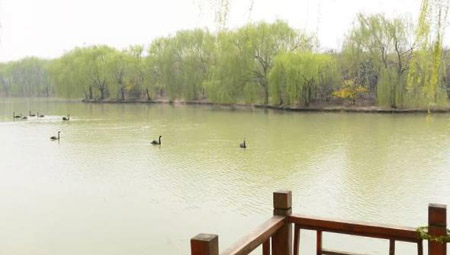 阜陽十大好玩的地方，阜陽有什么好玩的地方景點